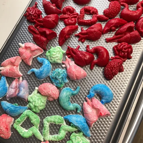 Vista 7 de Moldes de silicona con forma de órganos humanos, 8 unidades, molde de silicona para cerebro y corazón, para hígado, pulmón intestinal, chocolate