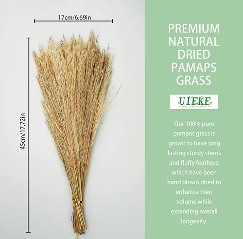 Vista 7 de Uieke 100 piezas de hierba de las pampas seca natural de 17 pulgadas de alto, flores secas grandes de caña sintética para arreglos florales de boda