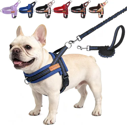 Vista 46 de BEAUTYZOO Arnés para Perros Pequeños, Juego de Arnés y Correa sin Tirones, Arnés de Pecho para Cachorros a Prueba de Escapes con Mango, Arnés Beige