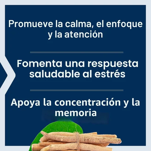Vista 4 de Life Extension Ashwagandha Plus Calm & Focus, extracto de ashwagandha, extracto de menta verde, enfoque, atención, relajación, fórmula avanzada, 60