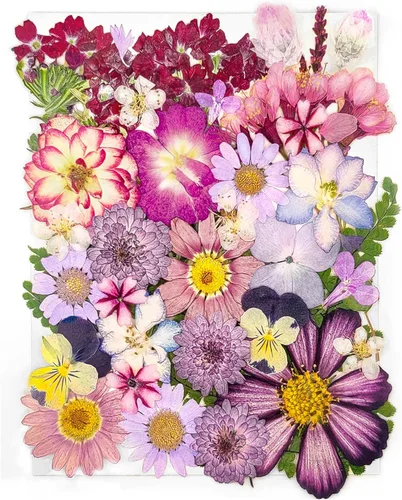 Vista 9 de 14 Tipos 37 piezas Flores Azules Secas Prensadas para Moldes de Resina, YouthBro Flores Secas Naturales Prensadas para Manualidades de Arte DIY