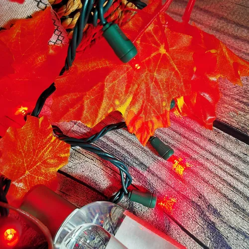 Vista 2 de Luces de Navidad de 50 LED rojas, 5.2 metros de mini luces LED de cadena, 120 V, con cable verde, luces navideñas para uso en interiores y Rojo