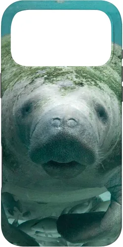 Vista 22 de Manatee Case for iPhone 17