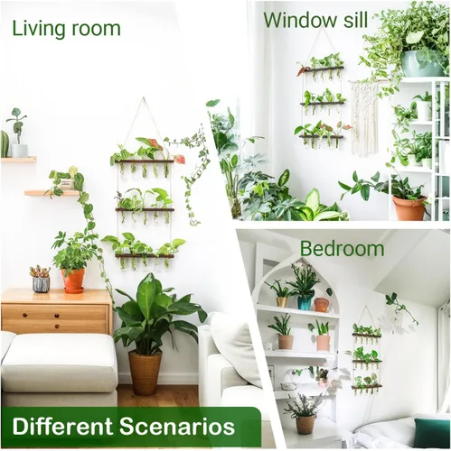 Vista 5 de Estación de propagación, terrario de plantas, regalos para amantes de las plantas para mujeres, soporte para cortar plantas, decoración del hogar