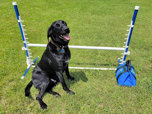 Vista 4 de ActiveDogs Agility - Bolsa de arena grande de baja gravedad, capacidad de bolsa de 20 #, alforja no restrictiva para estabilizar el túnel