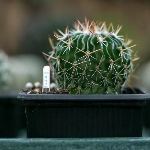 Vista 8 de BESTOYARD Indicador de agua para plantas en macetas para uso en interiores y exteriores, medidor de humedad del suelo con escala transparente