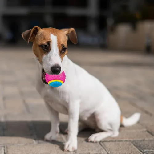 Vista 5 de Bola de juguete para perros Ethical Pets Sensory Ball, 2.5", Colores Variados