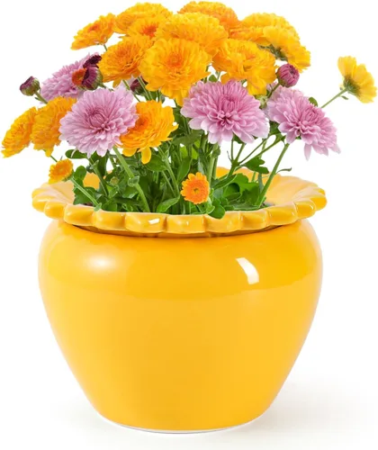 Vista 9 de Maceta para Flores Violeta Africana Verde de Cerámica con Riego Automático 6.5 * 4.6 * 4 pulgadas Maceta Simple para Plantas con Riego Automático
