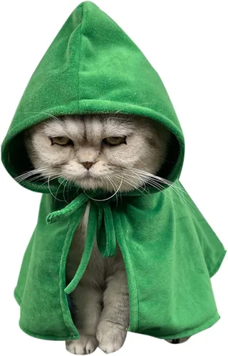 Vista 2 de Disfraz de Halloween para perro y gato, bata con capucha, color verde