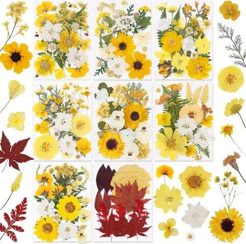 Vista 10 de 420 flores secas prensadas para resina, flores secas naturales reales a