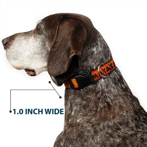 Vista 6 de Buckle-Down Collar de clip de plástico, diseño de Rey León HAKUNA MATATA Sunset Oranges/Negro, 1 pulgada de ancho, se adapta a cuello de 9 a 15