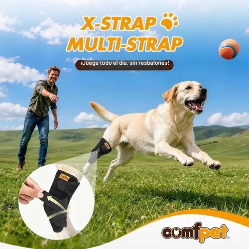 Vista 7 de Soporte de corvejón grande para perro (40-90 libras), soporte de pata trasera de alta resistencia para labrador, pastor alemán, golden retriever