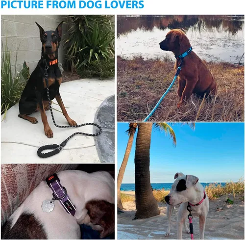 Vista 6 de Ladoogo Correa para perro resistente, mango acolchado cómodo, 5 pies de largo - Correas para perros pequeños, medianos y grandes