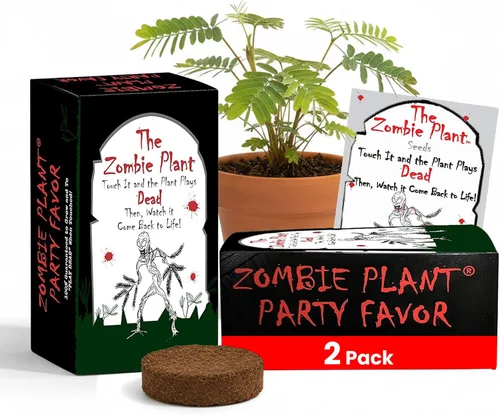Vista 10 de Paquetes de semillas de plantas zombi: ¡cultiva una planta sensible viva que se hace la muerta cuando se toca! Semillas de plantas