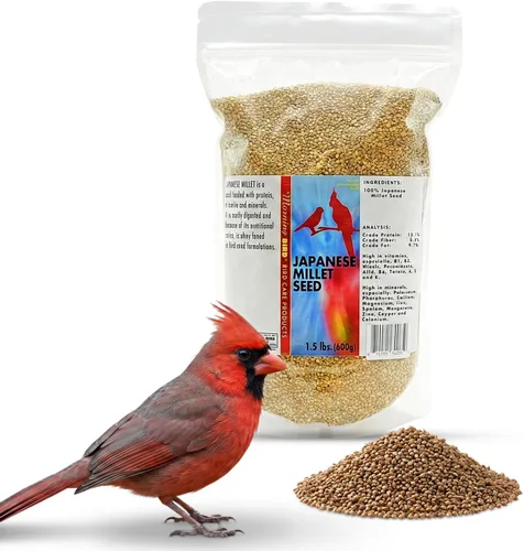Vista 62 de Semillas de cáñamo Morning Bird, 4.5 lb