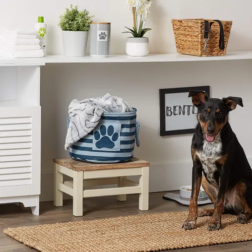 Vista 99 de Bone Dry - Cesta de almacenamiento para mascotas, diseño de parche de pata rayado, aguamarina, rectángulo pequeño