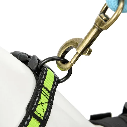 Vista 5 de Mile High Life - Collar para perro con rayas reflectantes 3M y correa de nailon, rojo, azul, verde, morado y rosa