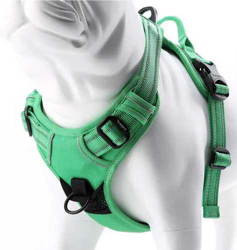 Vista 12 de JUXZH Truelove Arnés para perro sin tirones con mango de fácil control y 2 accesorios para correa, chaleco reflectante ajustable para mascotas
