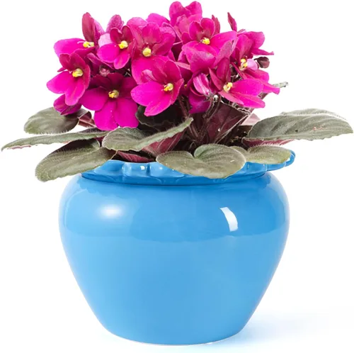 Vista 12 de Maceta para Flores Violeta Africana Verde de Cerámica con Riego Automático 6.5 * 4.6 * 4 pulgadas Maceta Simple para Plantas con Riego Automático