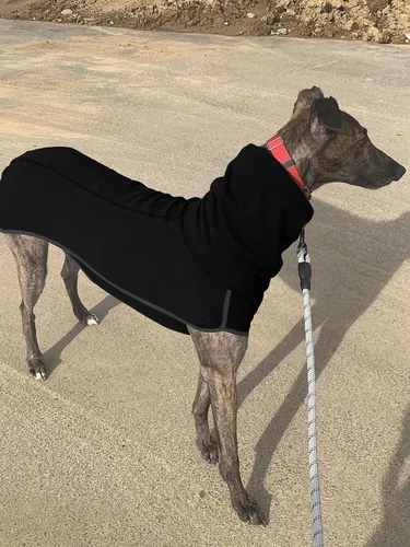 Vista 4 de Chaleco Esobo de invierno, suave, cálido, para perro pequeño, mediano y grande