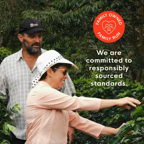 Vista 7 de Cápsulas de café compostables San Francisco Bay – Mezcla Bay Bridge (80 unidades) compatibles con K Cup, tostado medio