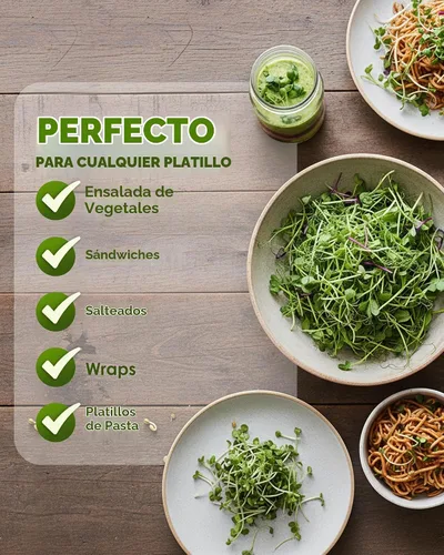 Vista 6 de Nature Jim's Sprout Organic Broccoli Seeds – Non-GMO, Sprouting Seeds - 8oz