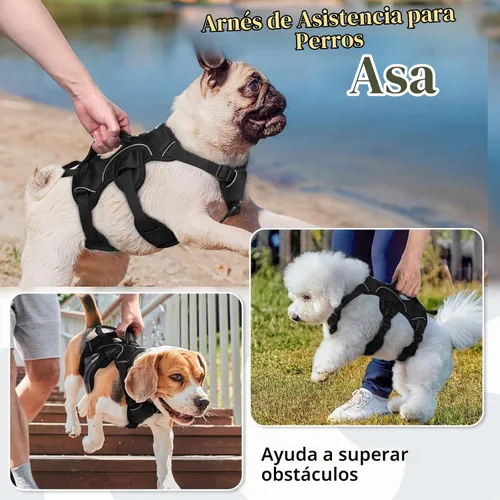 Vista 3 de rabbitgoo Arnés de perro a prueba de escape para pequeños, sin tirones con Negro