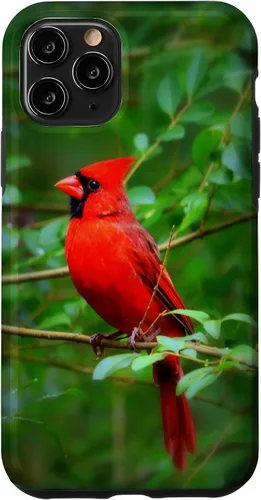 Vista 29 de Hermosa cardenal pájaro rojo escena de la naturaleza caso para iPhone 17