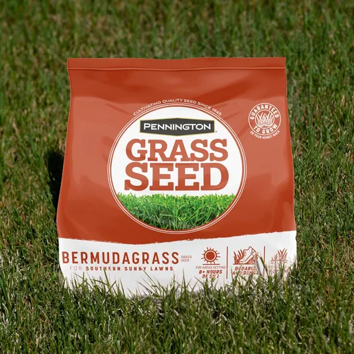 Vista 10 de Pennington Bermudagrass Semillas de césped del sur para césped, 5 libras