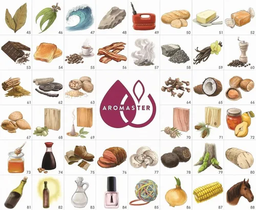 Vista 3 de Aromaster Kit de aroma de vino de sumiller profesional 88 aromas de vino (versión en español)