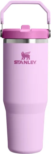 Vista 37 de STANLEY IceFlow 2.0 - Vaso con pajilla abatible con asa, 30 onzas, tapa giratoria y popote abatible, botella de agua a prueba de fugas, acero Tiza