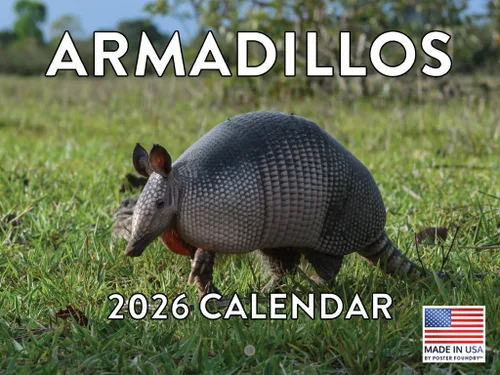 Vista 60 de Calendario mensual de pared de alpaca 2025 Fabricado en Estados Unidos