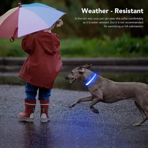 Vista 5 de Collares de perro con luz, collar de perro con luces LED, recargable, impermeable, collar de perro iluminado totalmente ajustable, collar de perro