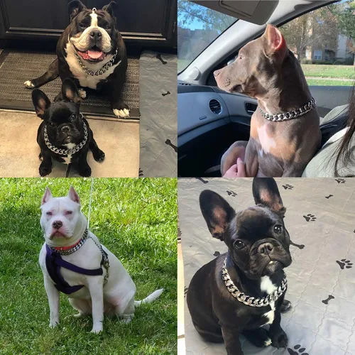 Vista 5 de Collares para perros de acero inoxidable plateado y dorado con cierre de seguridad, collar de cadena tipo cubano de 18 quilates para entrenamiento