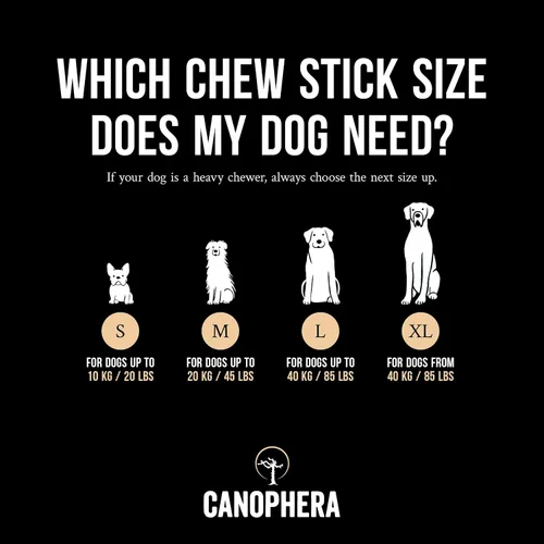 Vista 3 de Canophera Juguete masticable de madera y coco para perros para dientes y encías saludables, tamaño pequeño, todas las razas de perros