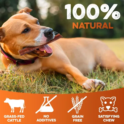 Vista 2 de BRUTUS & BARNABY Bully Sticks para Perros, 6" – Bajo a Sin Olor, Alimentados con Pasto, Masticables Sin Cuero Crudo para Masticadores Agresivos