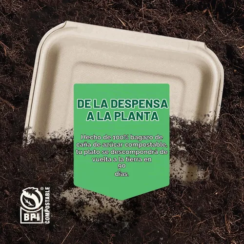 Vista 5 de Recipientes de alimentos 100% compostables para llevar [8 x 8 pulgadas, 3 compartimentos, paquete de 50 unidades], contenedores de calidad