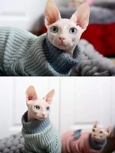 Vista 5 de Ropa para gatos sin pelo, suéter de algodón, transpirable, otoño e invierno, ropa cálida para gato, chaleco de cuello alto, ropa para Sphynx Azul