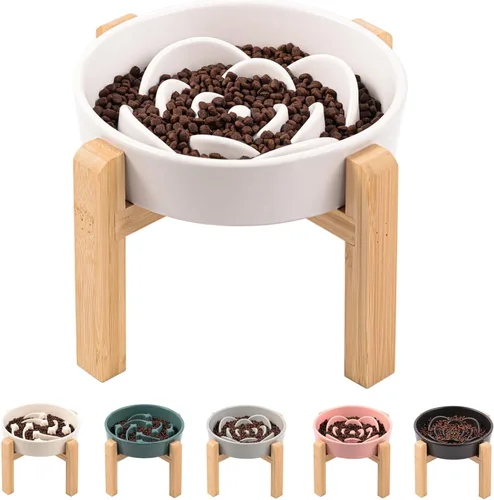 Vista 6 de Cuenco de cerámica gris para perros de razas pequeñas y medianas, cuenco elevado/elevado de 6.1 pulgadas de alimentación lenta, cuenco de comida
