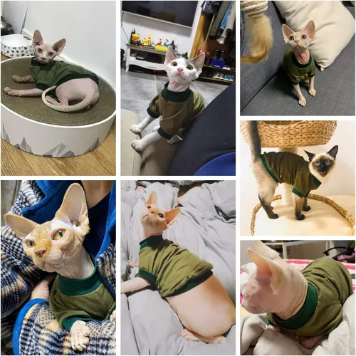 Vista 6 de Ropa para gatos sin pelo, camisa de algodón transpirable, para primavera, verano, otoño, gato, ropa para esfinge, Cornish Rex, Devon Rex, Peterbald