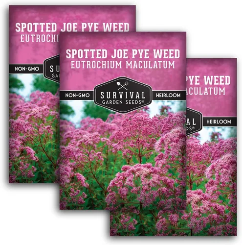Vista 10 de Spotted Joe Pye Weed Semillas de flores silvestres para plantar (paquete de 1)