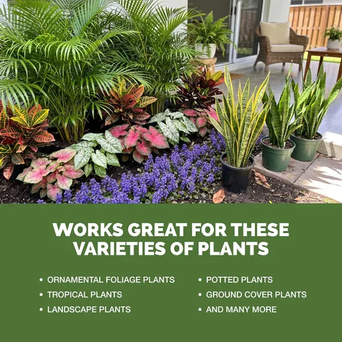 Vista 5 de Fertilizante líquido 10-10-10 para césped y jardines, 32 oz