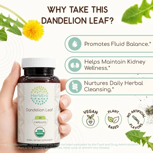 Vista 2 de HerbEra Hoja de diente de león 60 cápsulas, 500 mg, USDA Organic Diente de león (Taraxacum Officinale) Hoja seca (60 cápsulas)