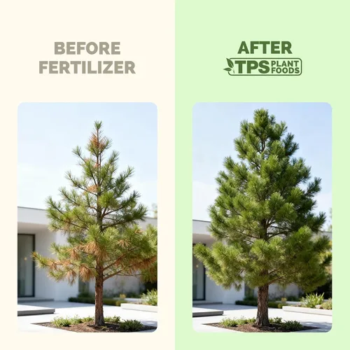 Vista 3 de Fertilizante para árboles: alimento líquido para plantas para raíces más fuertes, follaje más completo y crecimiento saludable de los árboles, 8
