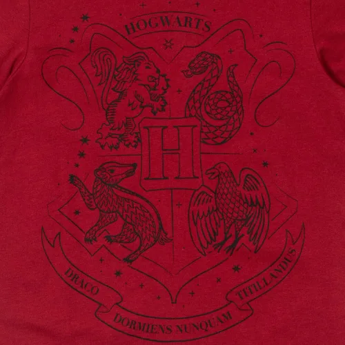 Vista 6 de Harry Potter Hogwarts - Paquete de 2 camisetas gráficas