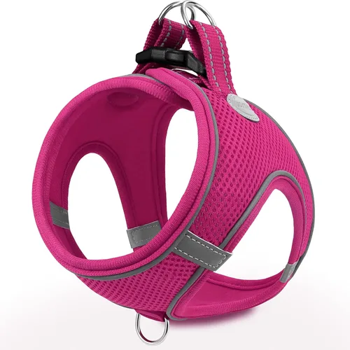 Vista 23 de Joytale Arnés para Perros Pequeños, Chaleco de Malla Transpirable Step-in, Arneses Acolchados Suaves Reflectantes para Gatos y Perros Cachorros