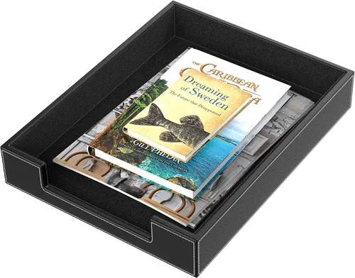 Vista 3 de Bandeja de cartas de cuero, organizador de escritorio elegante THIPOTEN para suministros de oficina, correo, papel, archivo, revista, organización