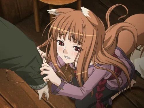Vista 10 de Ookami a koushinryou Boku a Horo no ichinen importado de Japón