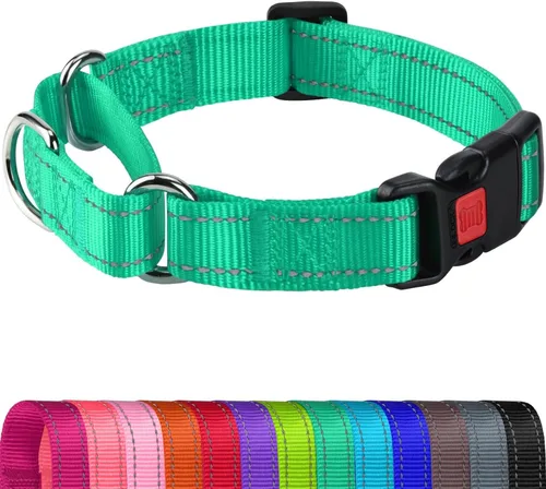 Vista 13 de Joytale Collar Martingale para perros, reflectante resistente para mayor seguridad, hebilla de liberación rápida, collares de nailon ajustables