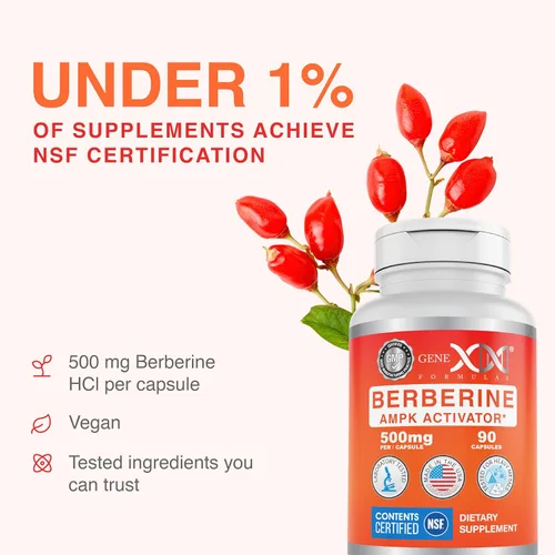 Vista 3 de Genex Formulas Berberina HCl 500 mg (90 cápsulas) – Certificado NSF para seguridad, calidad y precisión de etiquetado – Apoya la salud inmunológica